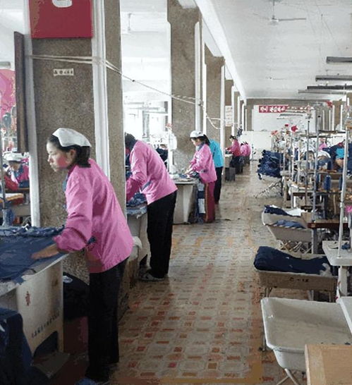 朝鮮工廠女工的自述 以奉獻(xiàn)為美，以集體為家