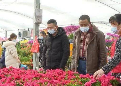 鮮花消費(fèi)熱潮涌動(dòng) 美團(tuán)外賣銷售激增與產(chǎn)業(yè)升級(jí)并行